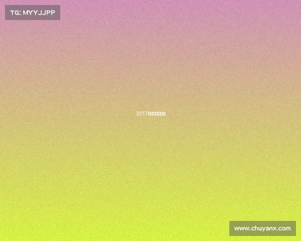 2017全国拳击锦标赛