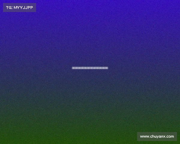 切尔西队英超赛事深度解析回顾辉煌战绩前瞻未来挑战